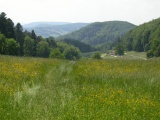 Remelpass
