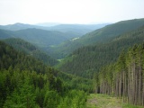 Pfaffensattel