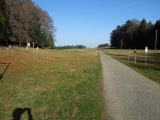 Col du Mollendruz
