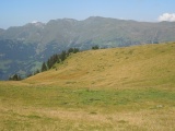 Scheidegg