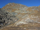 Forcellina