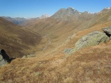Forcellina