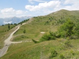 Cotte Plane