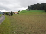 Müliseile