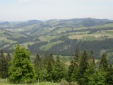 Sattelteuffi