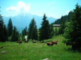 Col de la Croix-Fry