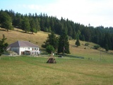 Chuffort