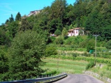 Feredino