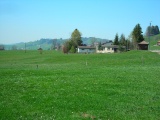 Stoss