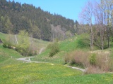 Etzel (St. Meinrad)
