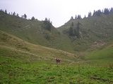 Wannentritt
