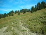 Halbegg