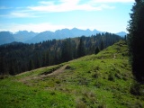 Schindleneggen