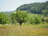 Sabelhöhe