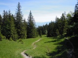 Resspass