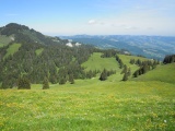 Resspass