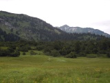 Hinterhöhi