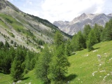 Col de la Cayolle