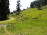 Durchspring