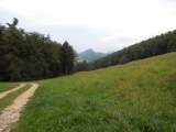 Schwängihöchi