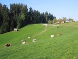 Hochgrat