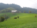 Brandsegg