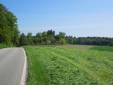Buechtürli