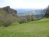 Wisnerhöchi
