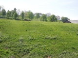Weissenstein