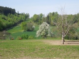 Stollen