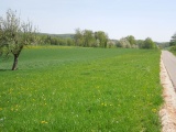 Stollen