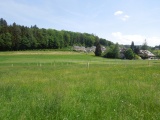 Eyzälg