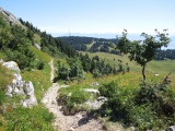 Col de Porte