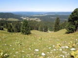 Col de Porte
