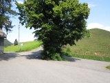 Lustenberg