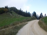 Müren