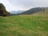 Stallberg