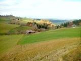 Neumatt