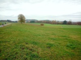 Wegscheid