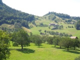Unter Weier
