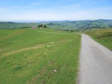 Chlepfütte