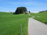 Ebne