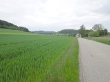 Steig