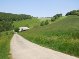 Schattenberg