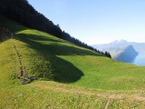Chlepfütte