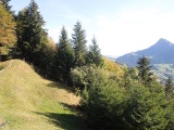 Chlepfütte