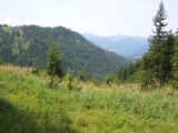 Gamssteinhals