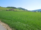 Le Crau